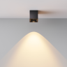 Потолочный светильник MAYTONI ALFA LED C064CL-5W2,7K-SQ-B