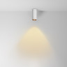 Потолочный светильник MAYTONI FOCUS LED C056CL-L12W2,7K-W-W